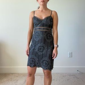 Storia Lace Cocktail Dress NWT